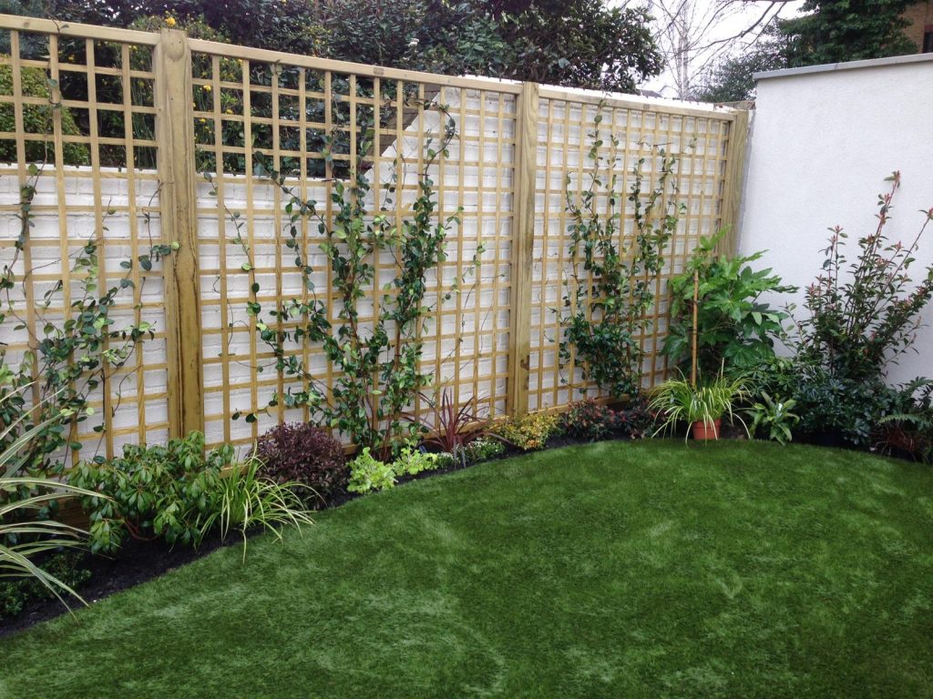 izabela-garden-design-elevation-planting-fence-ivy